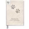 Artikelbild 1 des Artikels “Chäff-Timer Mini 2027 A6+ [Paws] “