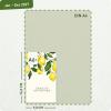 Artikelbild 3 des Artikels “Monatskalender Pocket Slim A6+ 2027 [Lemon Times] “