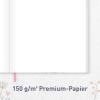 Artikelbild 5 des Artikels “p&y Gästebuch [Flower Joy] “