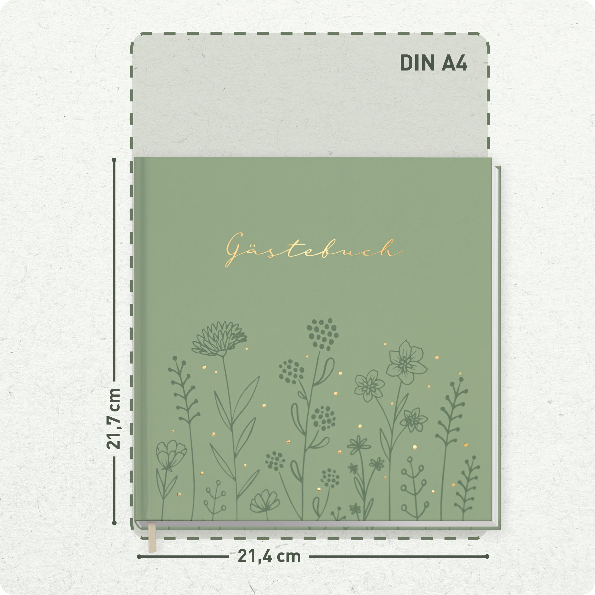 Artikelbild 3 des Artikels “p&y Gästebuch [Fine Flowers Salbei] “