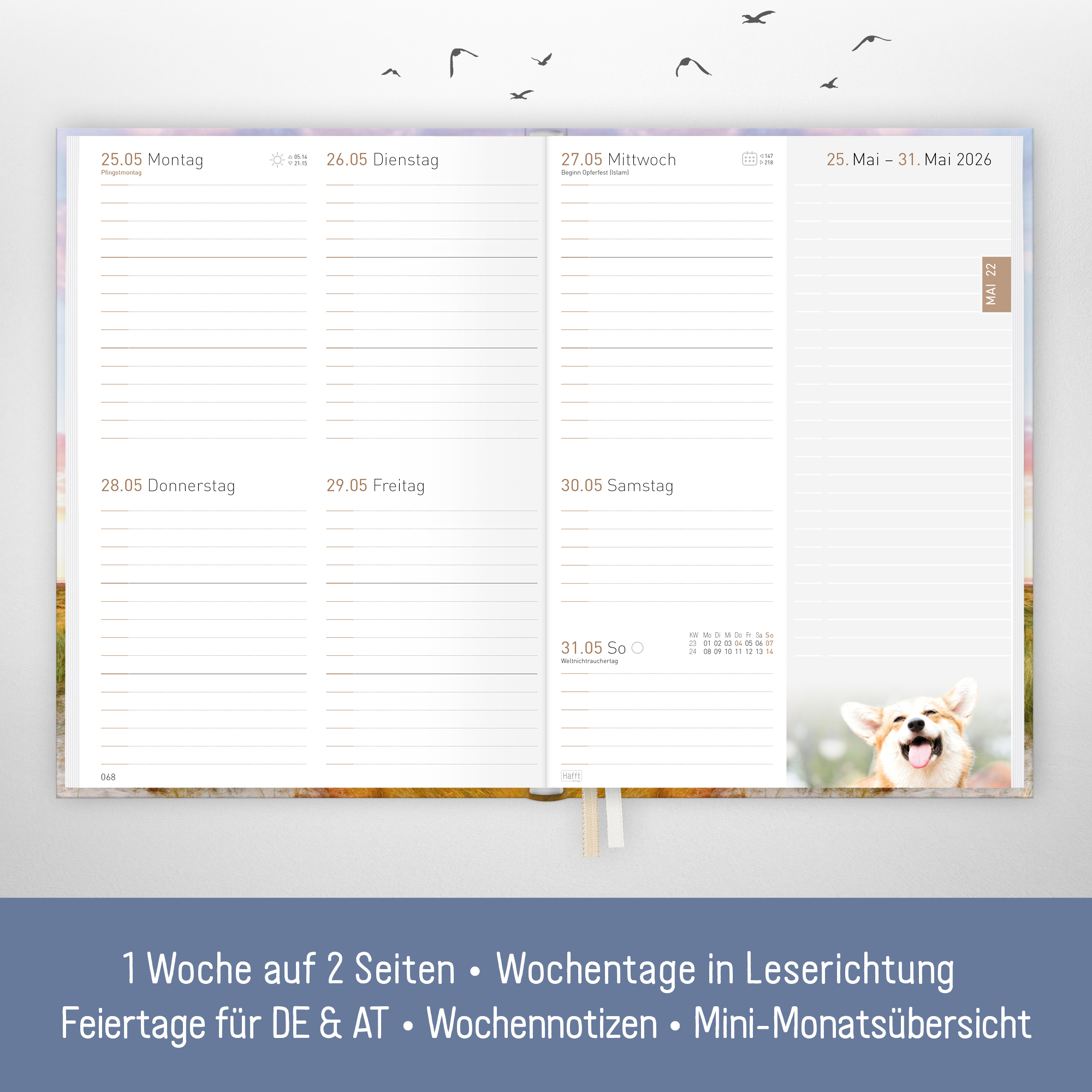 Artikelbild 3 des Artikels “Chäff-Timer Classic A5 2026 [Leuchtturm] “