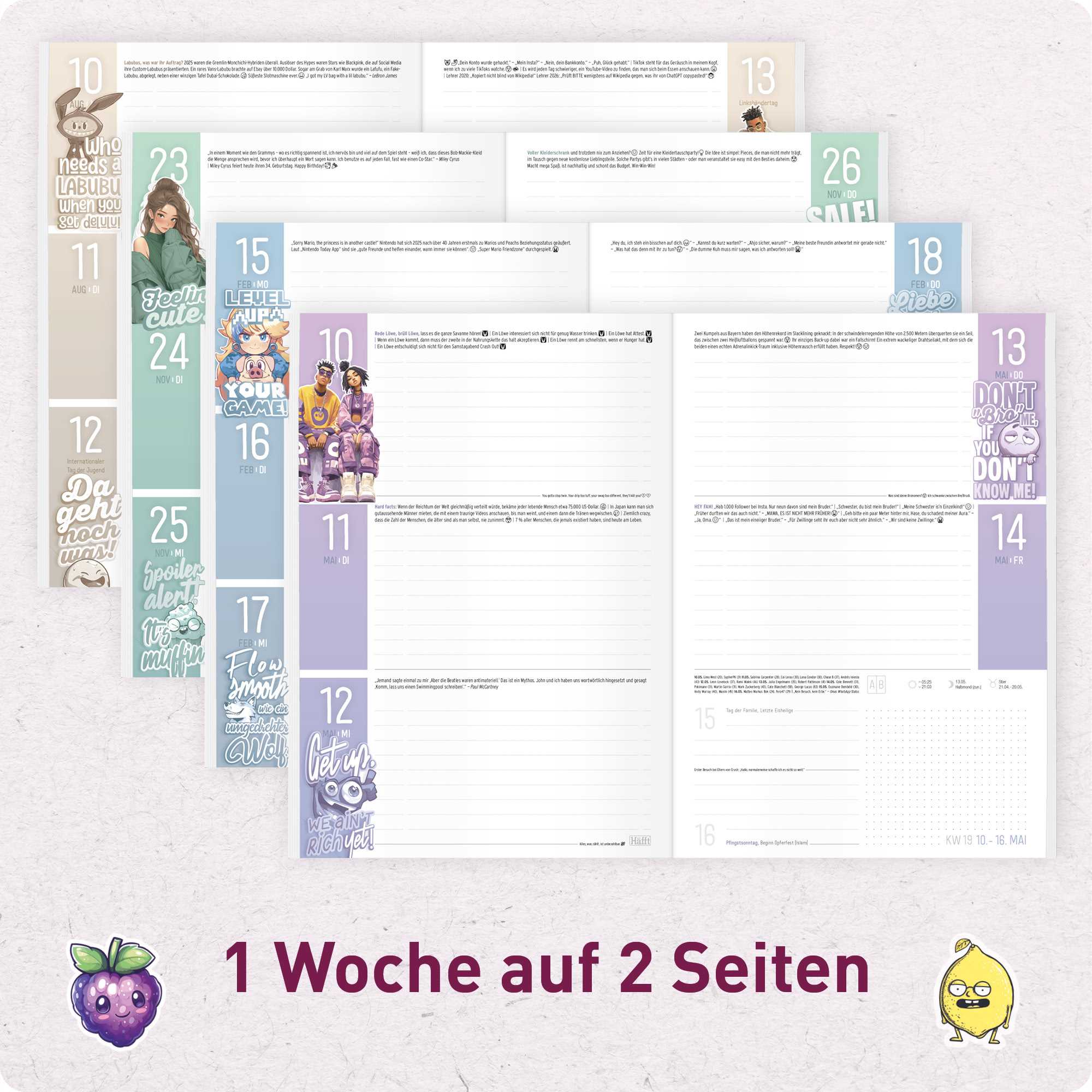 Artikelbild 4 des Artikels “Häfft Planer A5 2026/2027 A5 [Duck off] “