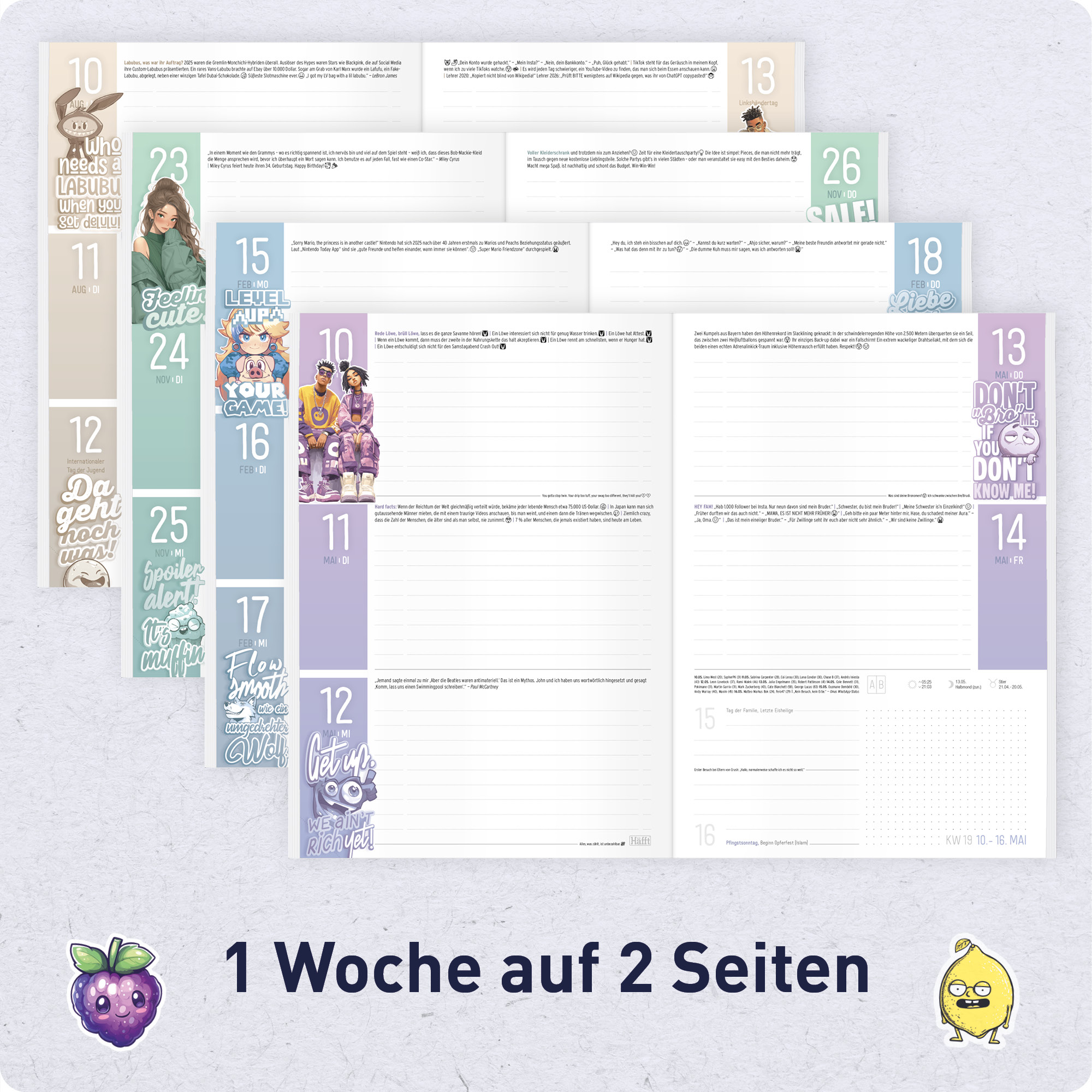 Artikelbild 4 des Artikels “Häfft Planer A5 2026/2027 [Level Up] “