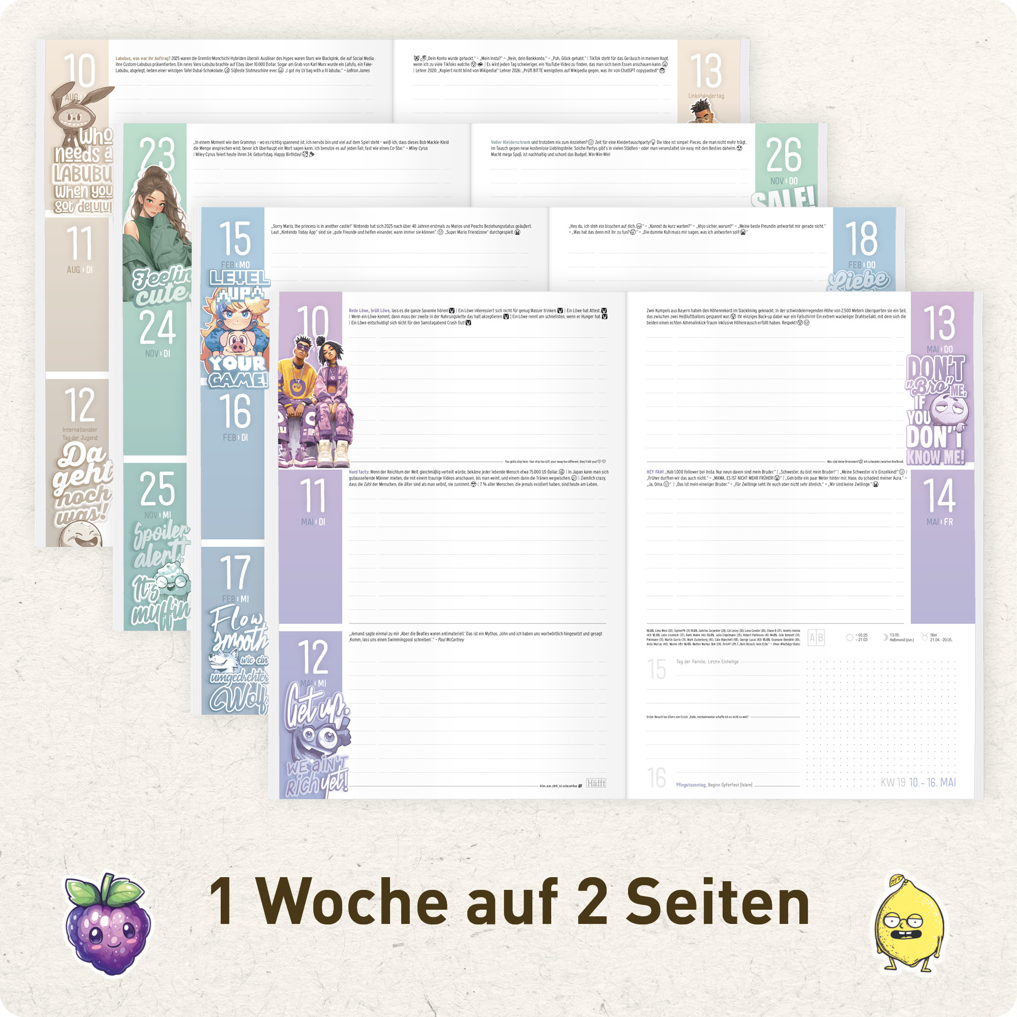 Artikelbild 4 des Artikels “Häfft Planer A5 2026/2027 [Skull] “