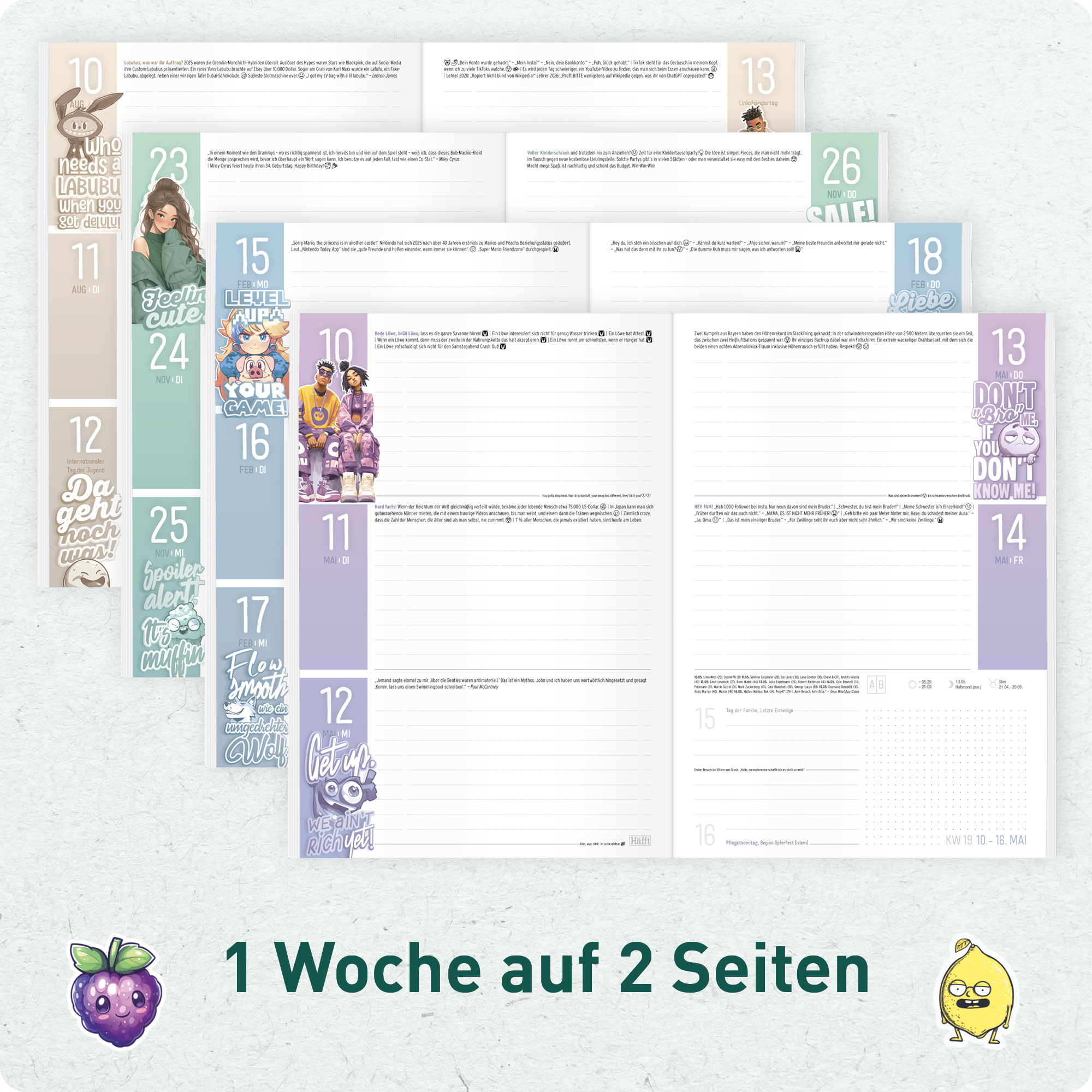 Artikelbild 4 des Artikels “Häfft Planer A5 2026/2027 [Warum ich?] “