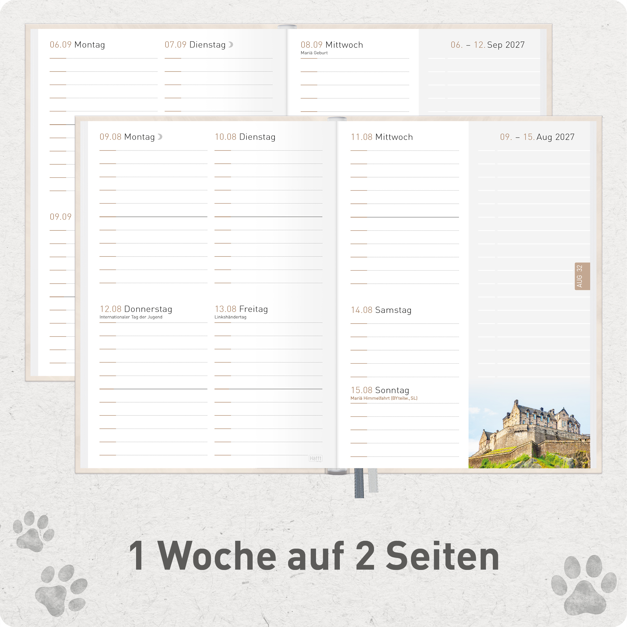 Artikelbild 4 des Artikels “Chäff-Timer Mini A6+ 2026/2027 [Paws] “
