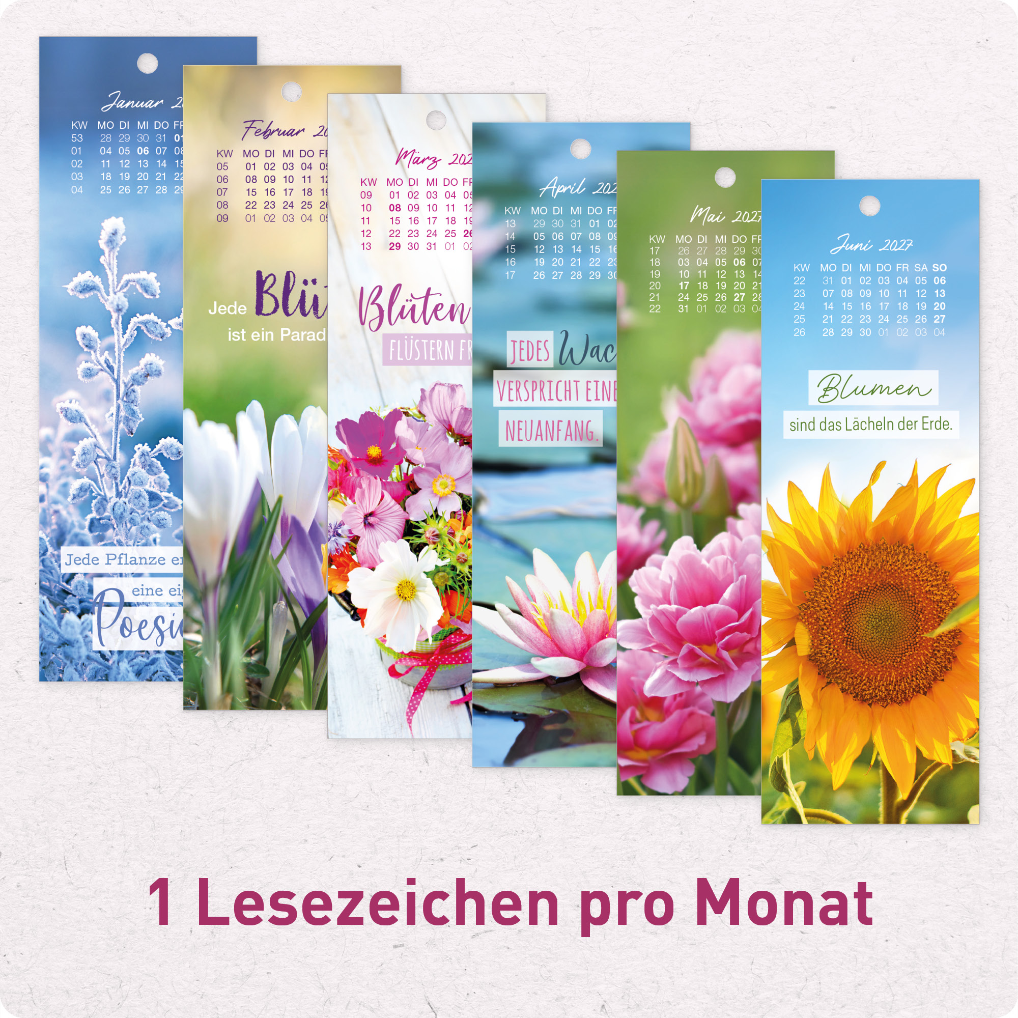 Artikelbild 4 des Artikels “Lesezeichenkalender 2027 [Blumenfreude] “