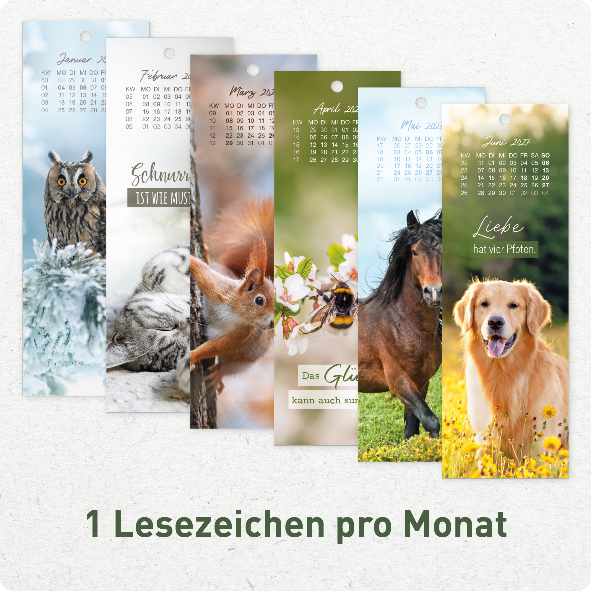 Artikelbild 4 des Artikels “Lesezeichenkalender 2027 [Tierisch durchs Jahr] “