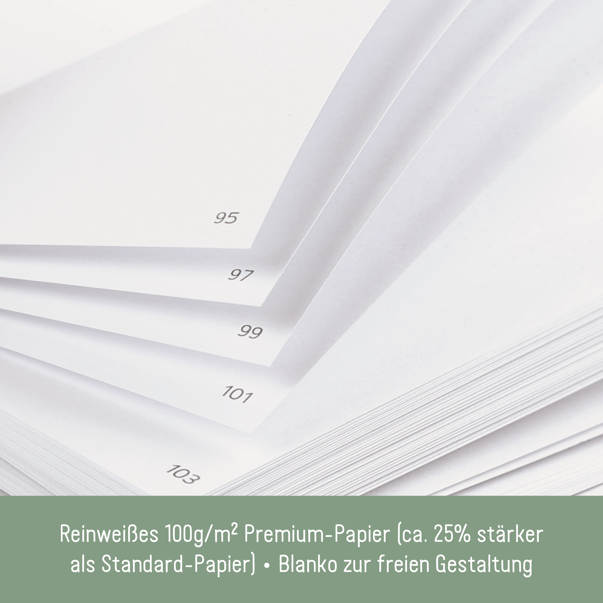 Artikelbild 4 des Artikels “Notizbuch Classic A5+ blanko [Wild Blossoms] “