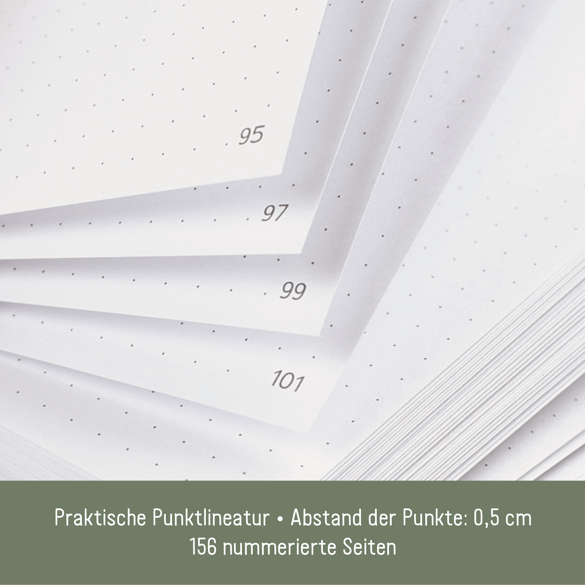 Artikelbild 4 des Artikels “p&y Journal A4+  [Green Poppy] “