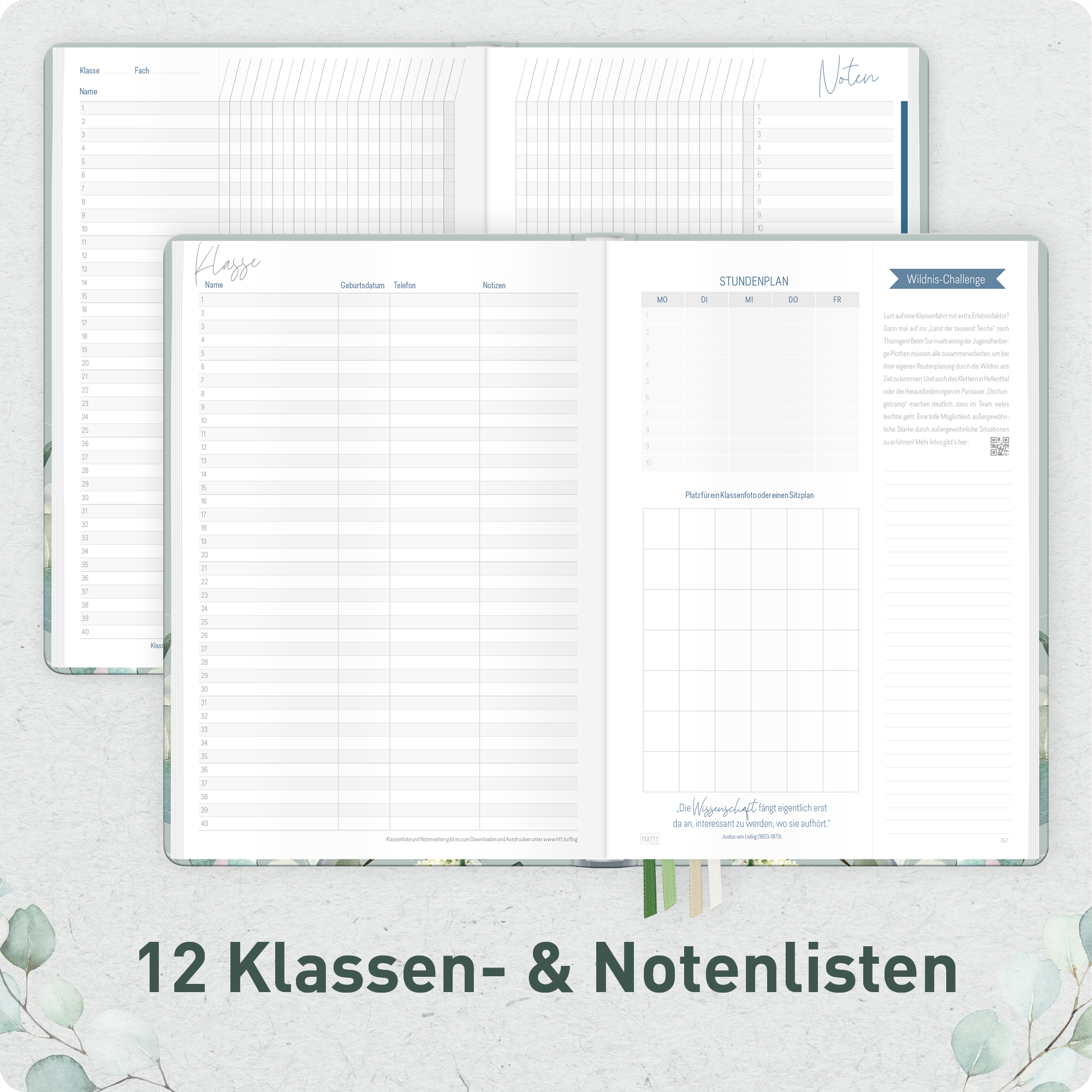 Artikelbild 5 des Artikels “Lehrer-Planer Maxi A4+ 26/27 [Minty Leaves] “