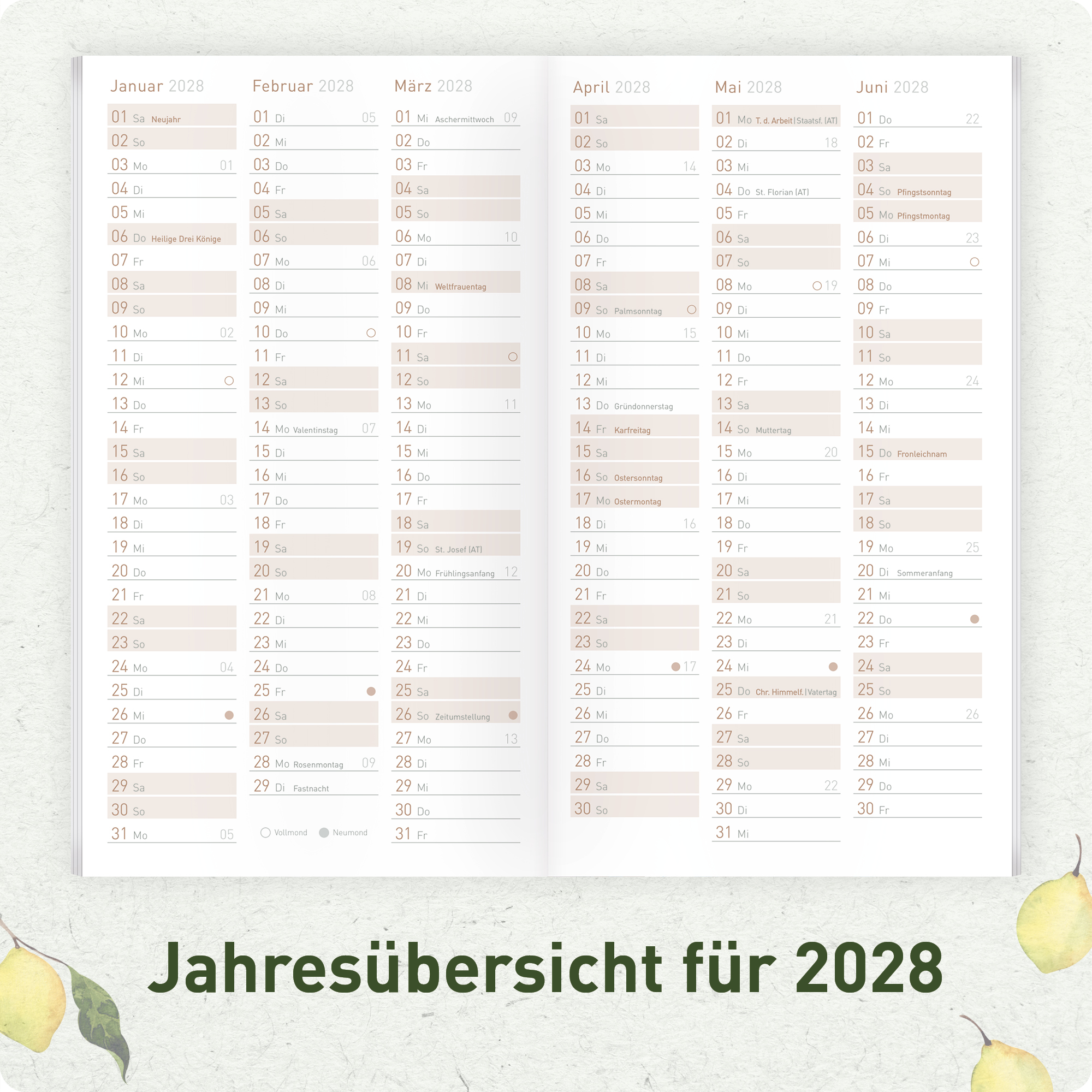 Artikelbild 5 des Artikels “Monatskalender 2026/2027 A6+ Slim Taschenkalender [Lemon Times] “