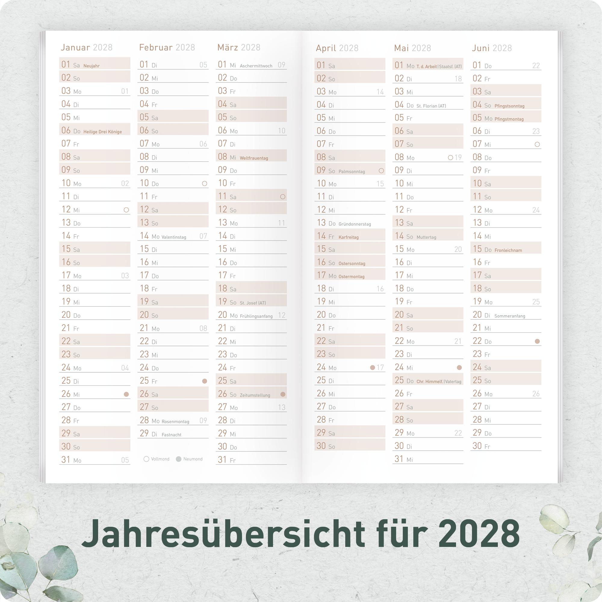 Artikelbild 5 des Artikels “Monatskalender 2026/2027 A6+ Slim Taschenkalender [Minty Leaves] “