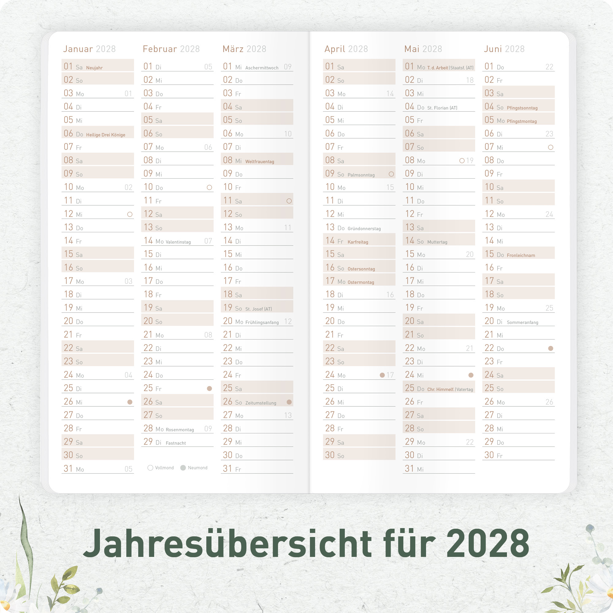 Artikelbild 5 des Artikels “Monatskalender Pocket Slim A6+ 2027 [Daisy Days] “