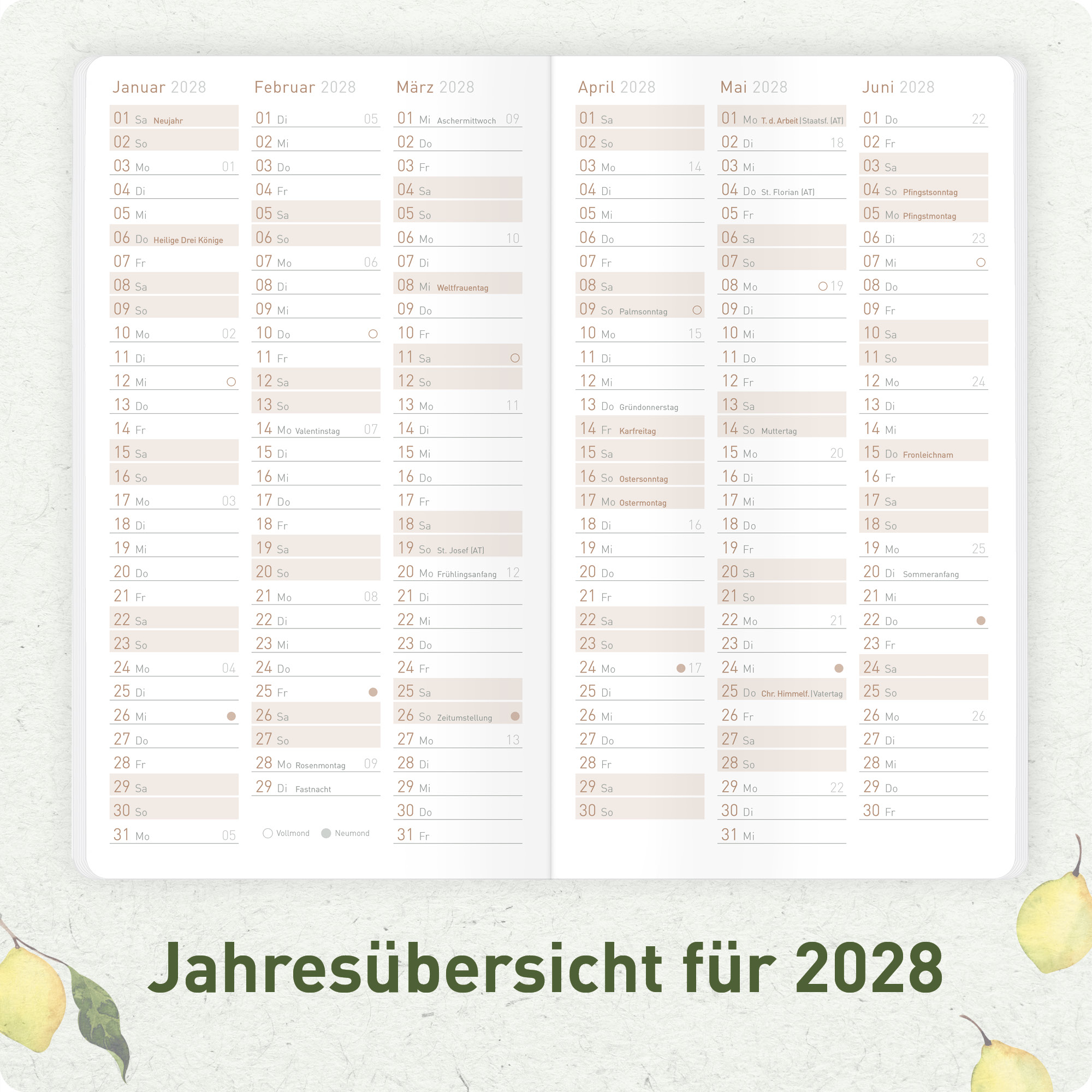 Artikelbild 5 des Artikels “Monatskalender Pocket Slim A6+ 2027 [Lemon Times] “