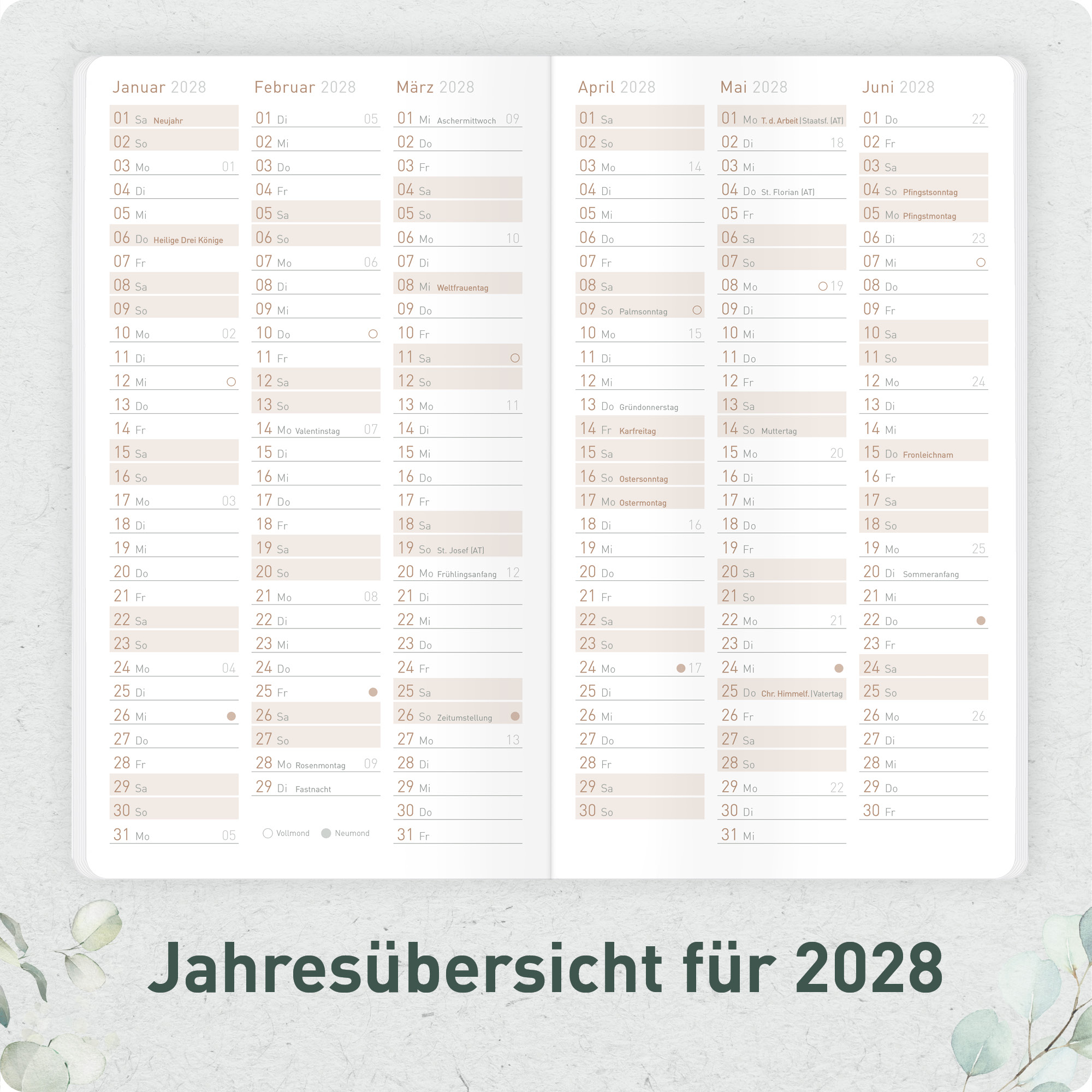 Artikelbild 5 des Artikels “Monatskalender Pocket Slim A6+ 2027 [Minty Leaves] “