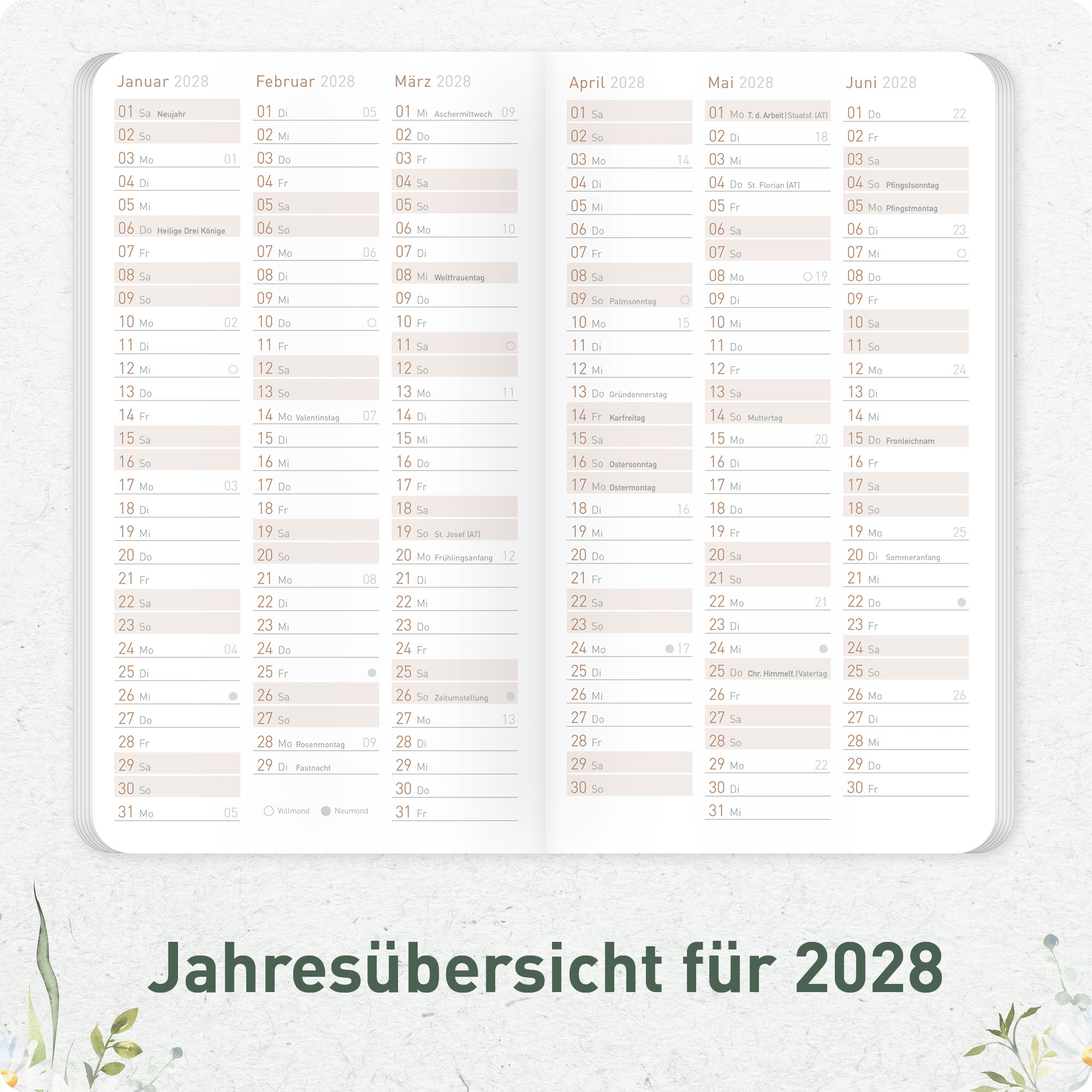 Artikelbild 5 des Artikels “Monatskalender Square A6+ 2027 [Daisy Days] “
