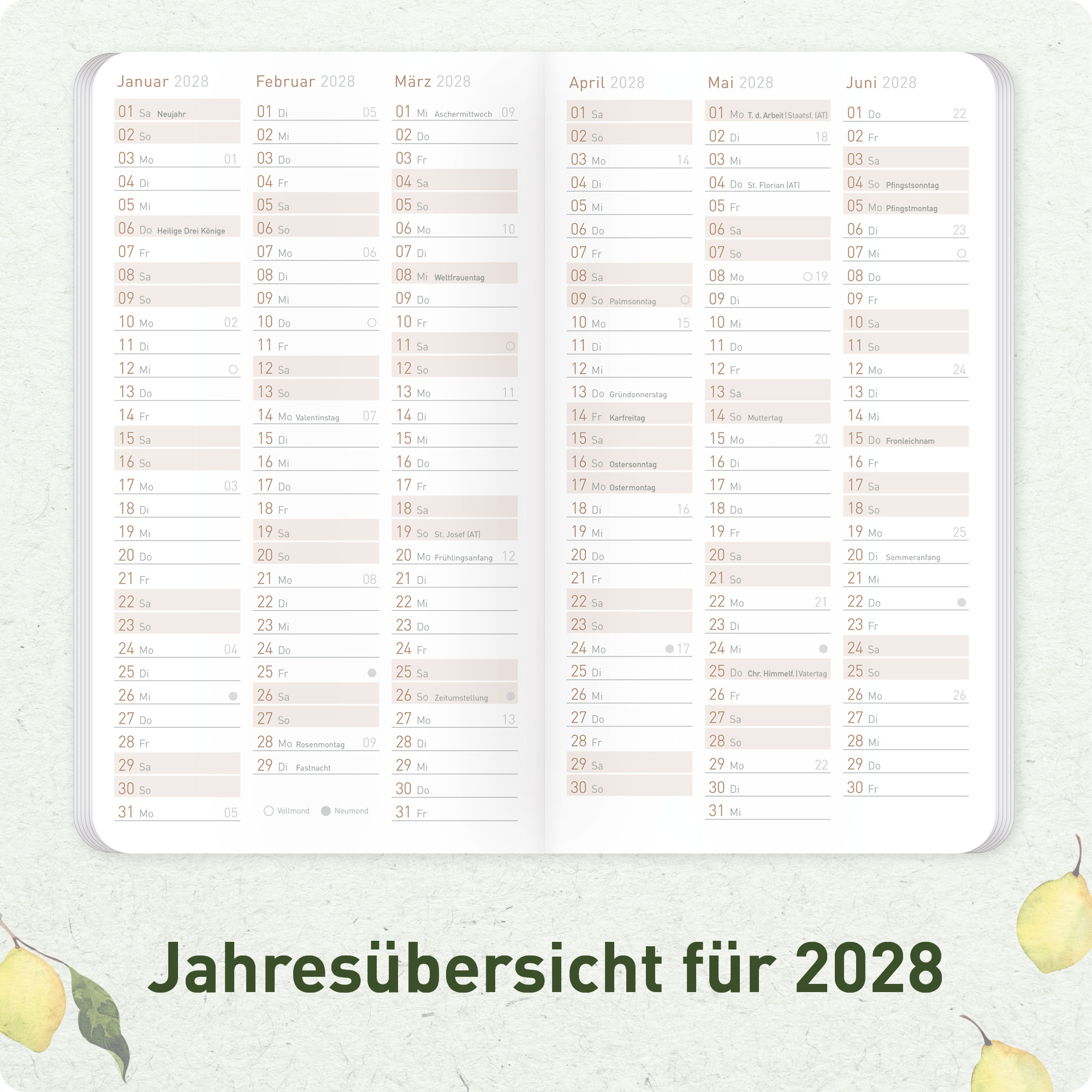 Artikelbild 5 des Artikels “Monatskalender Square A6+ 2027 [Lemon Times] “