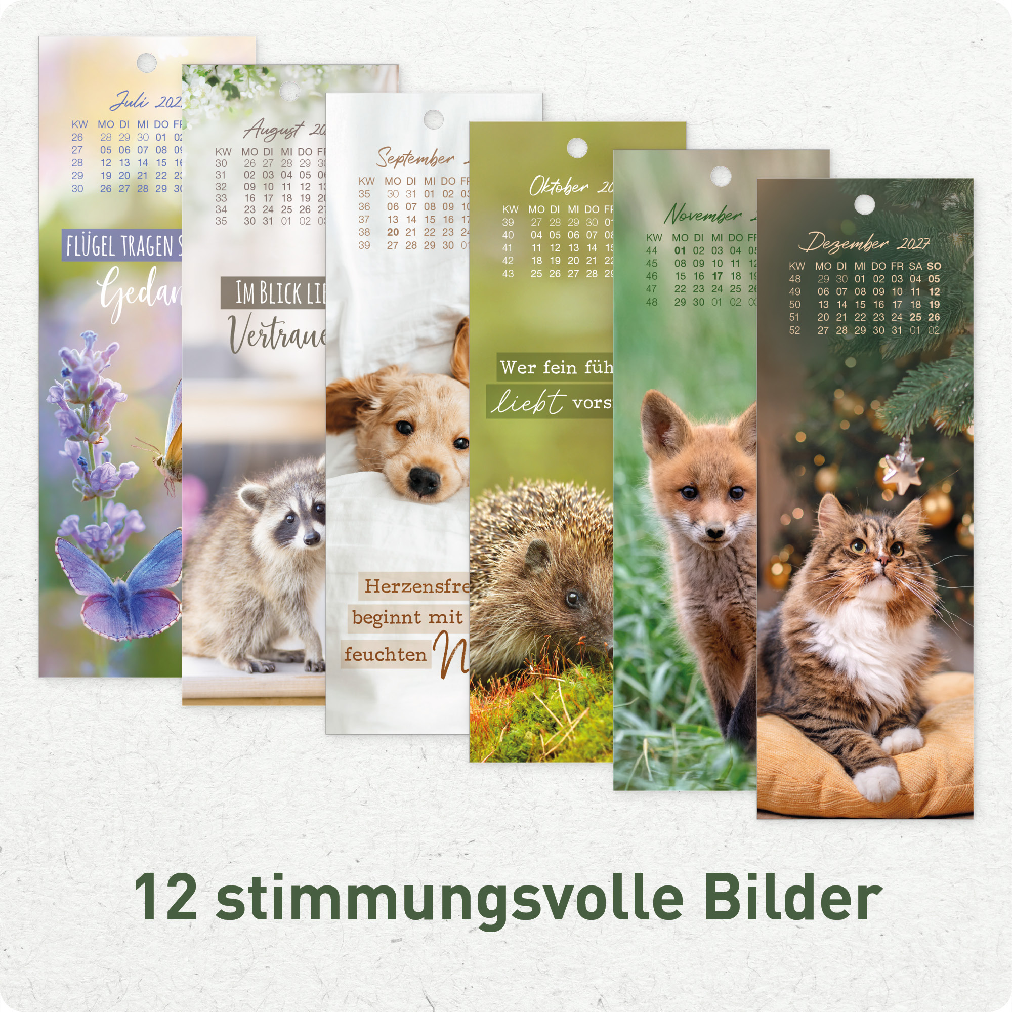Artikelbild 5 des Artikels “Lesezeichenkalender 2027 [Tierisch durchs Jahr] “