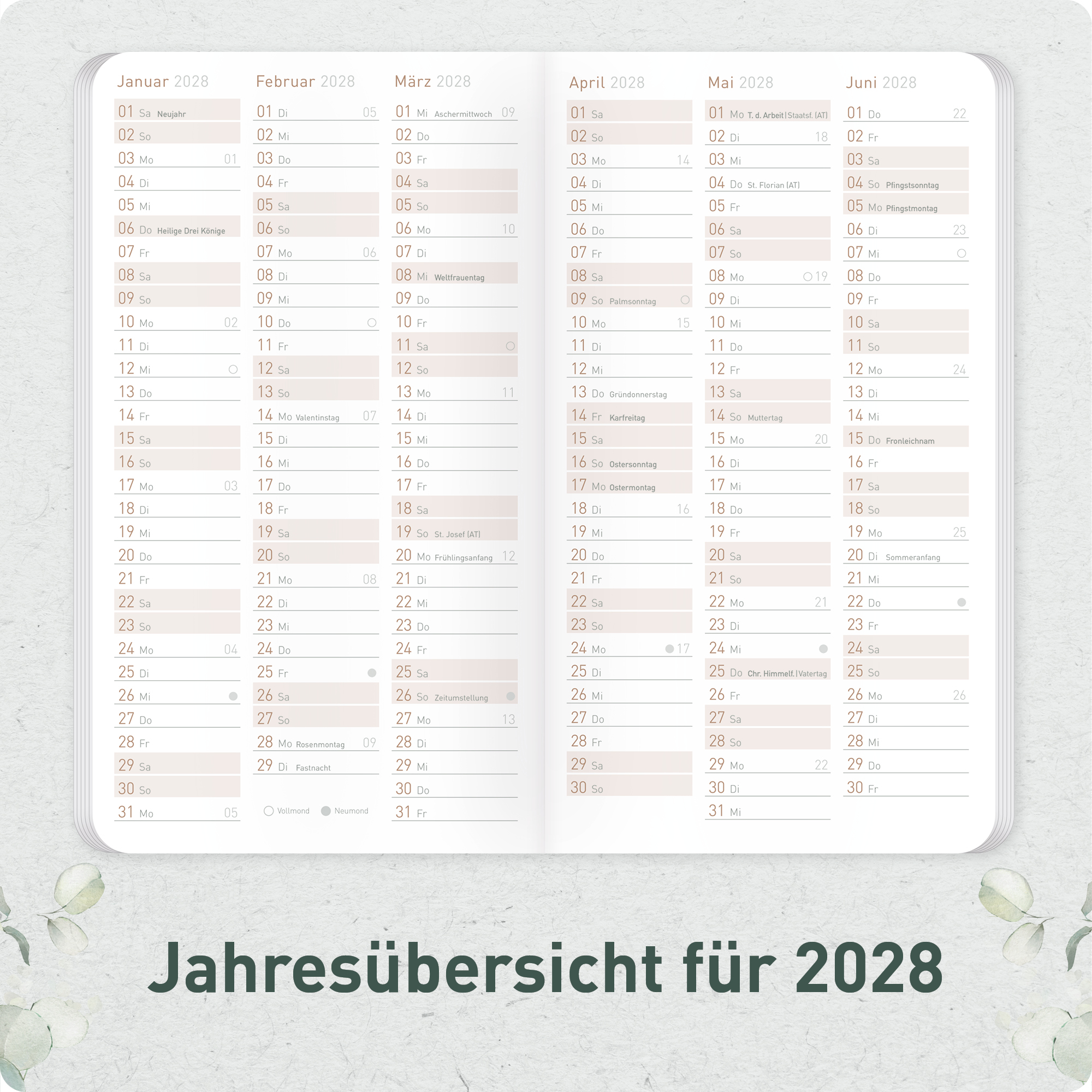 Artikelbild 5 des Artikels “Monatskalender 2026/2027 Square A6+ Taschenkalender [Minty Leaves] “