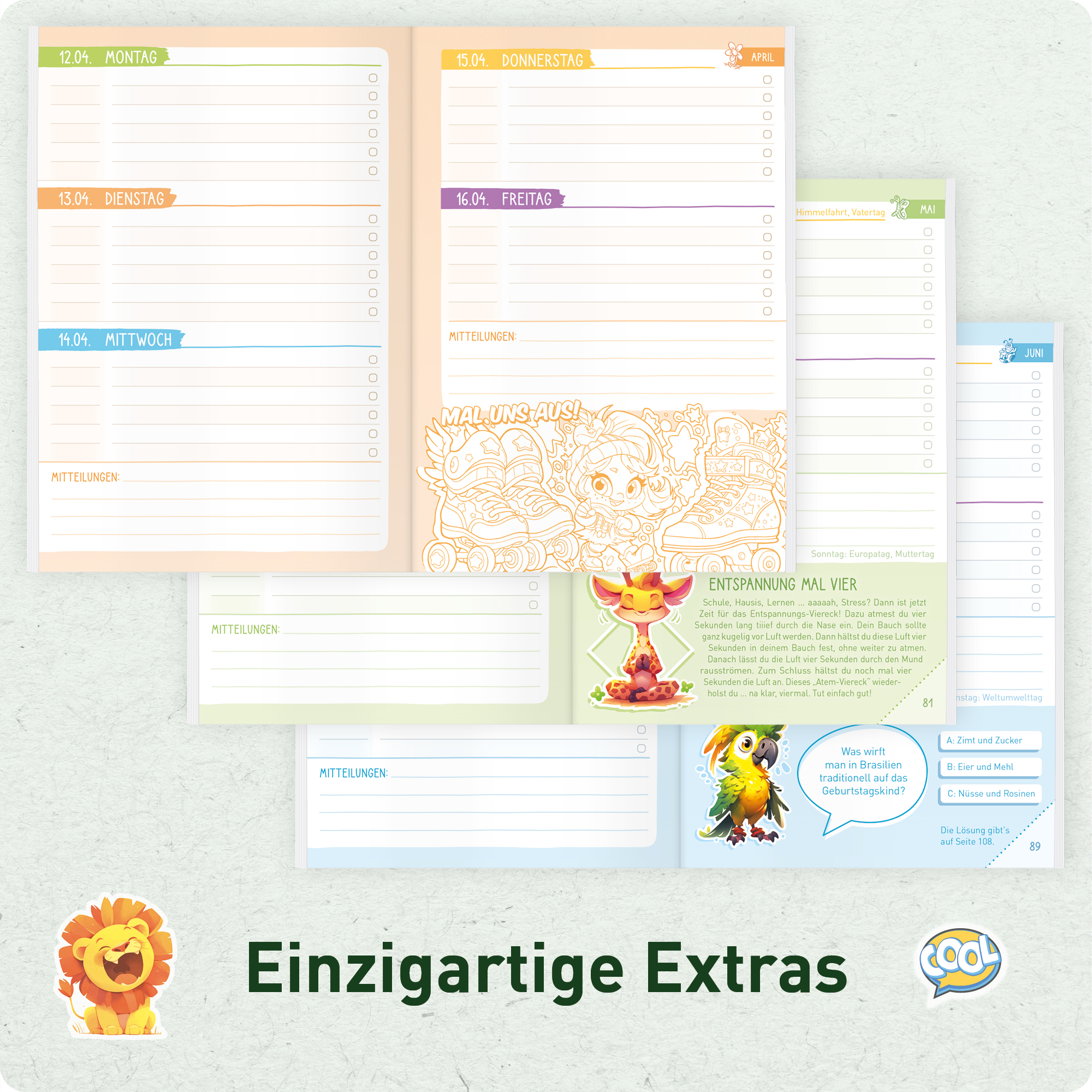 Artikelbild 6 des Artikels “Hausaufgabenheft Grundschule 2026/2027 A5 mit Datum [Fußball] “