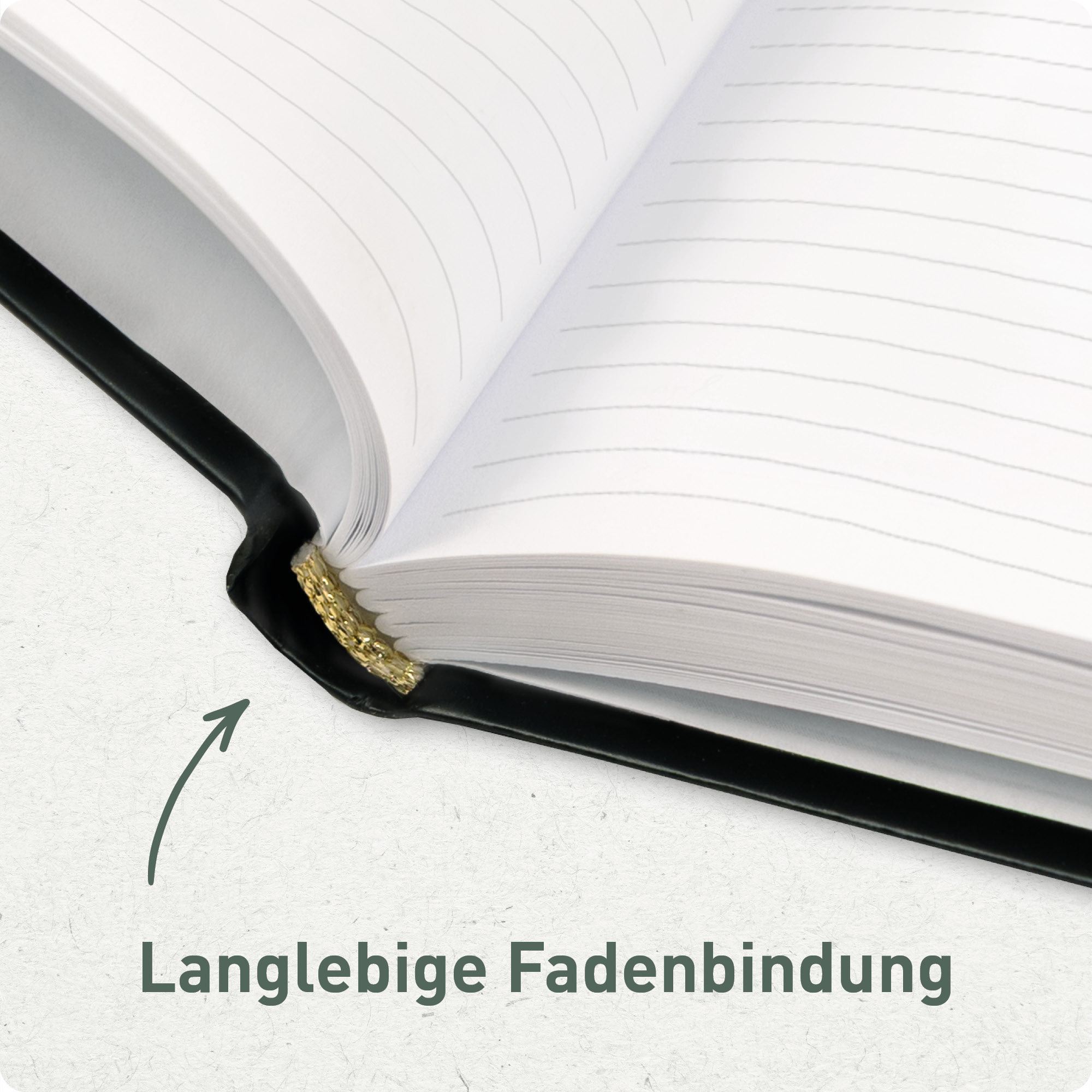 Artikelbild 6 des Artikels “paper&you Notizbuch A4+ liniert [Wild Blossoms] “